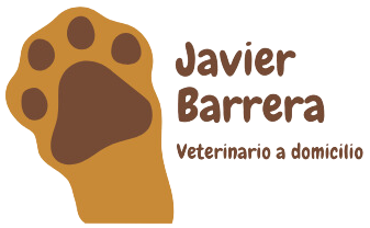 logo Javier Barrera